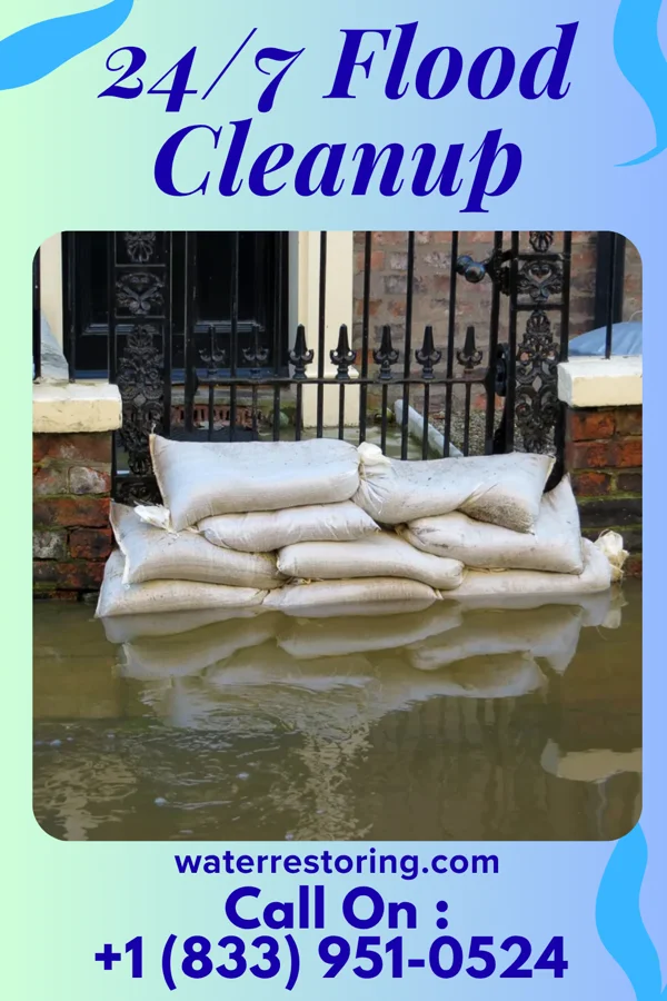 24/7 Flood Cleanup in Forney, TX