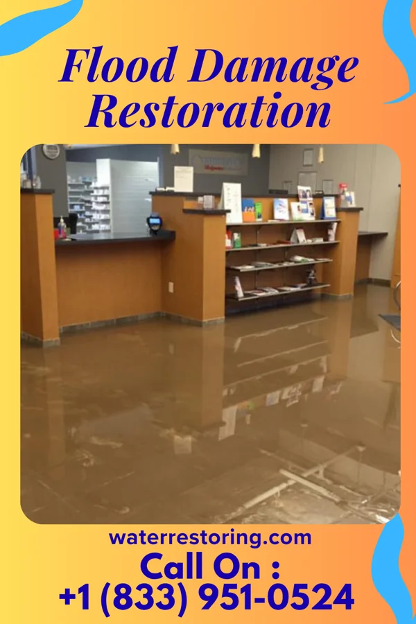 Flood Damage Restoration in Forney, TX