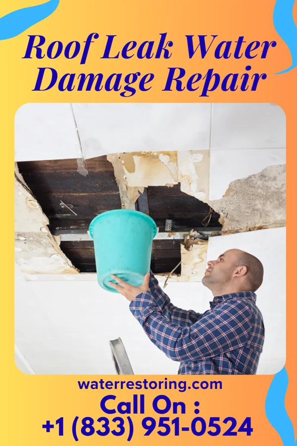 Roof Leak Water Damage Repair in Forney, TX