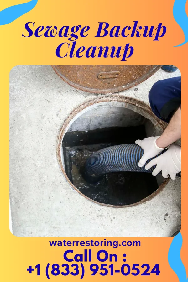 Sewage Backup Cleanup in Forney, TX