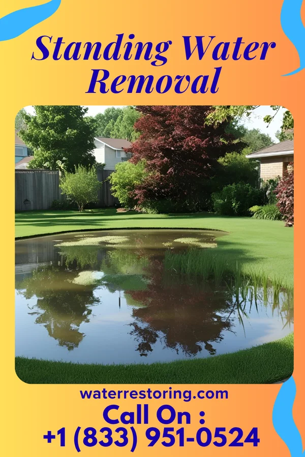 Standing Water Removal in Forney, TX